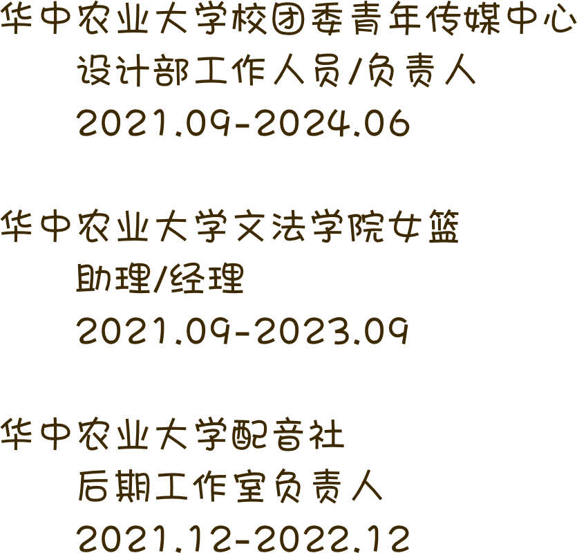 三段校园经历概览