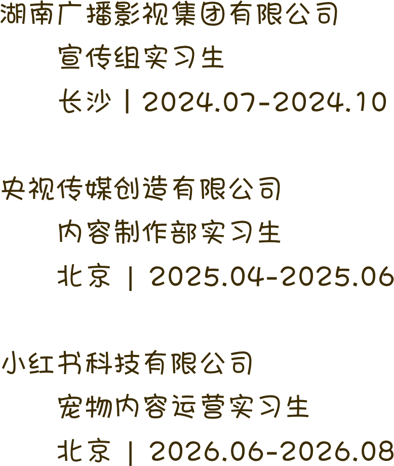 三段实习经历概览